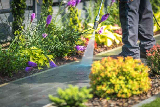 Best Sidewalk and Walkway Cleaning  in Indiana, PA