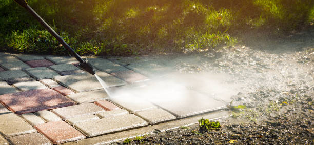 Best Animal Enclosure Cleaning  in Indiana, PA