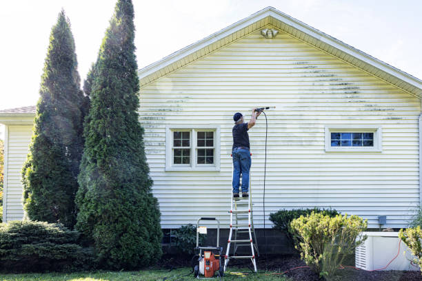 Best Roof Washing  in Indiana, PA